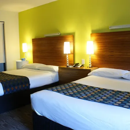 Cambridge Hotel Sydney-2